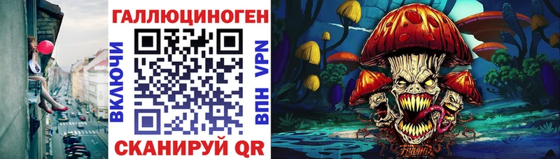 Псилоцибиновые грибы GOLDEN TEACHER  Ахтубинск 